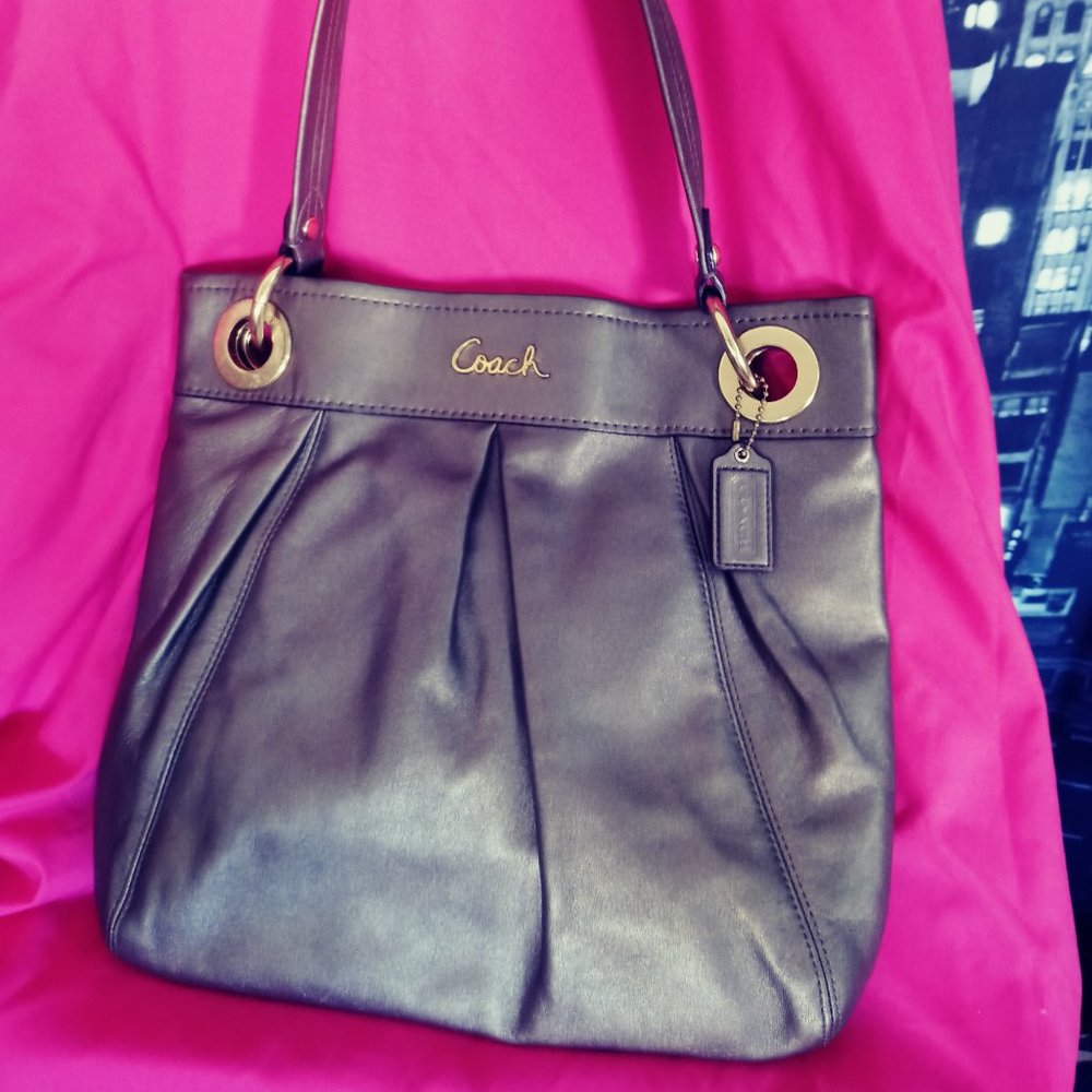 Coach Metallic Gray Leather